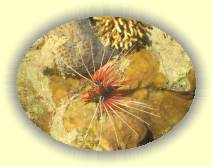 IMG_2007_05_28 23_24_42 * 2272 x 1704 * (698KB)